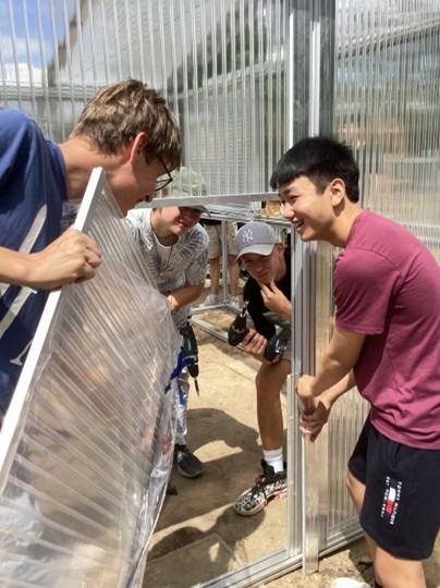 Aufbau Gew&auml;chshaus