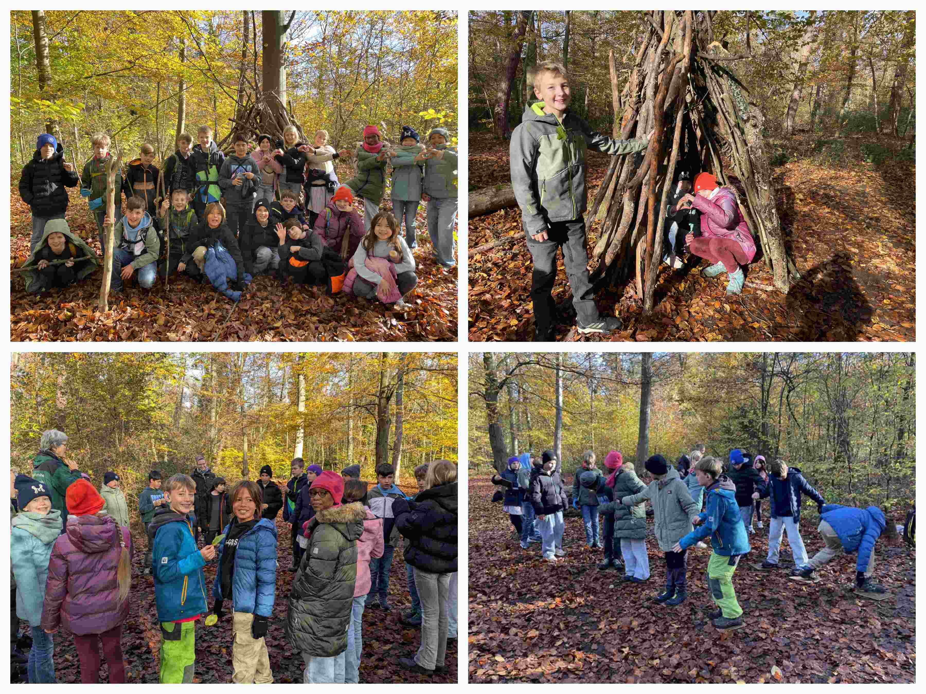 Waldklassenzimmer_5a